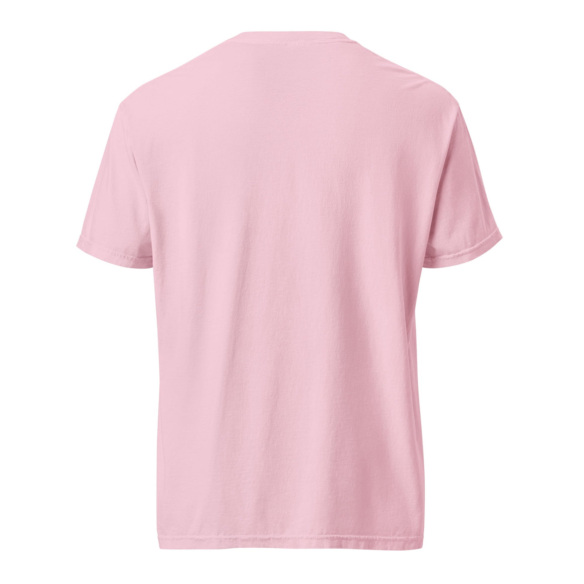 Heavyweight tee in light pink, short sleeves and crew neck, back view.