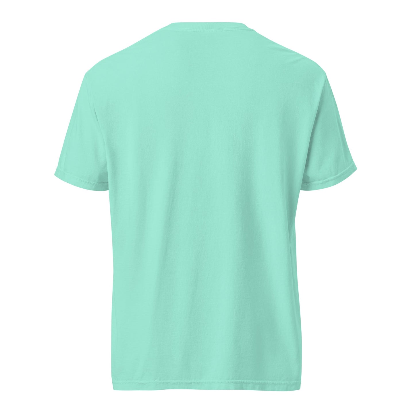 Heavyweight tee in mint green, short sleeves and crew neck, back view.