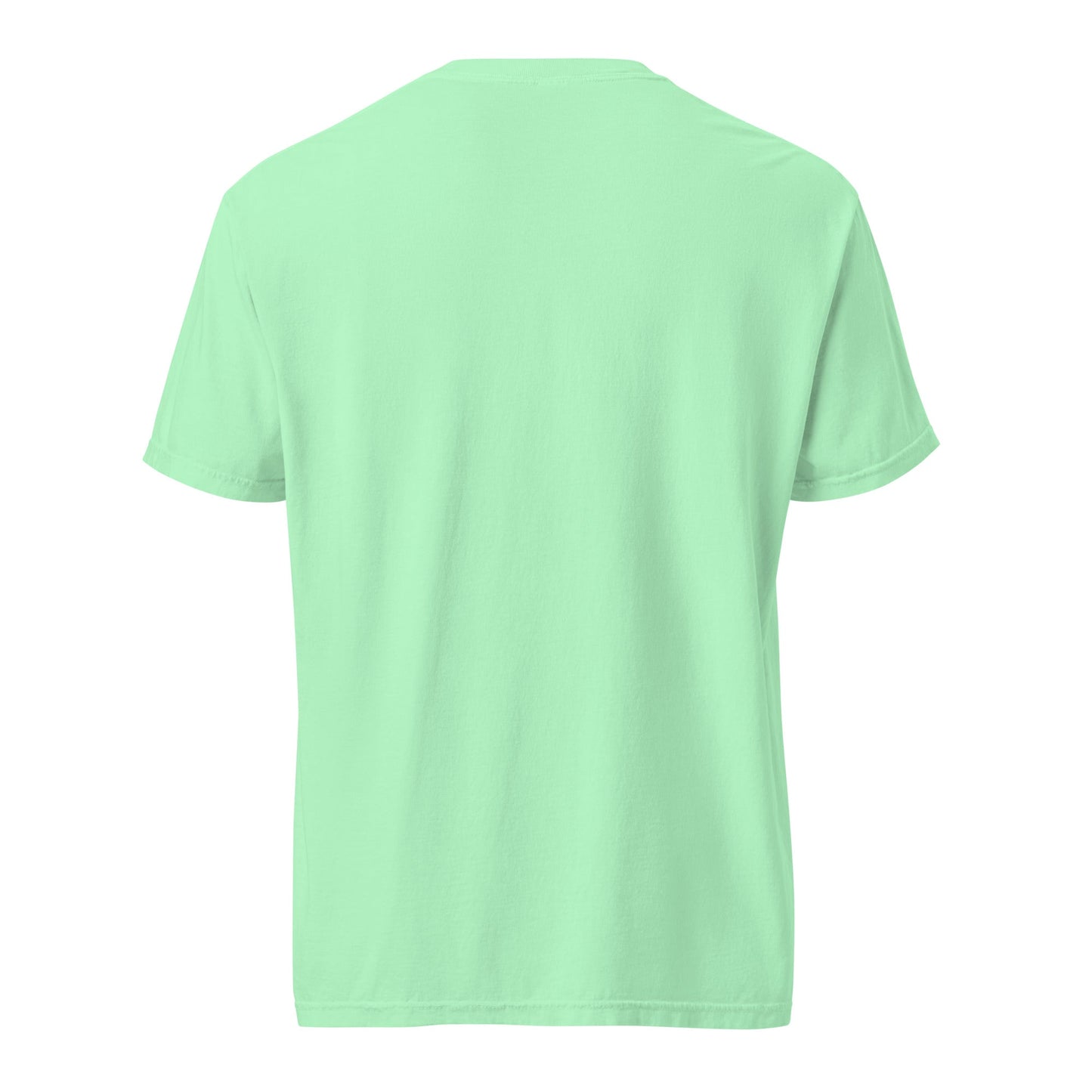 Heavyweight tee in mint green, short sleeves and crew neck, back view.