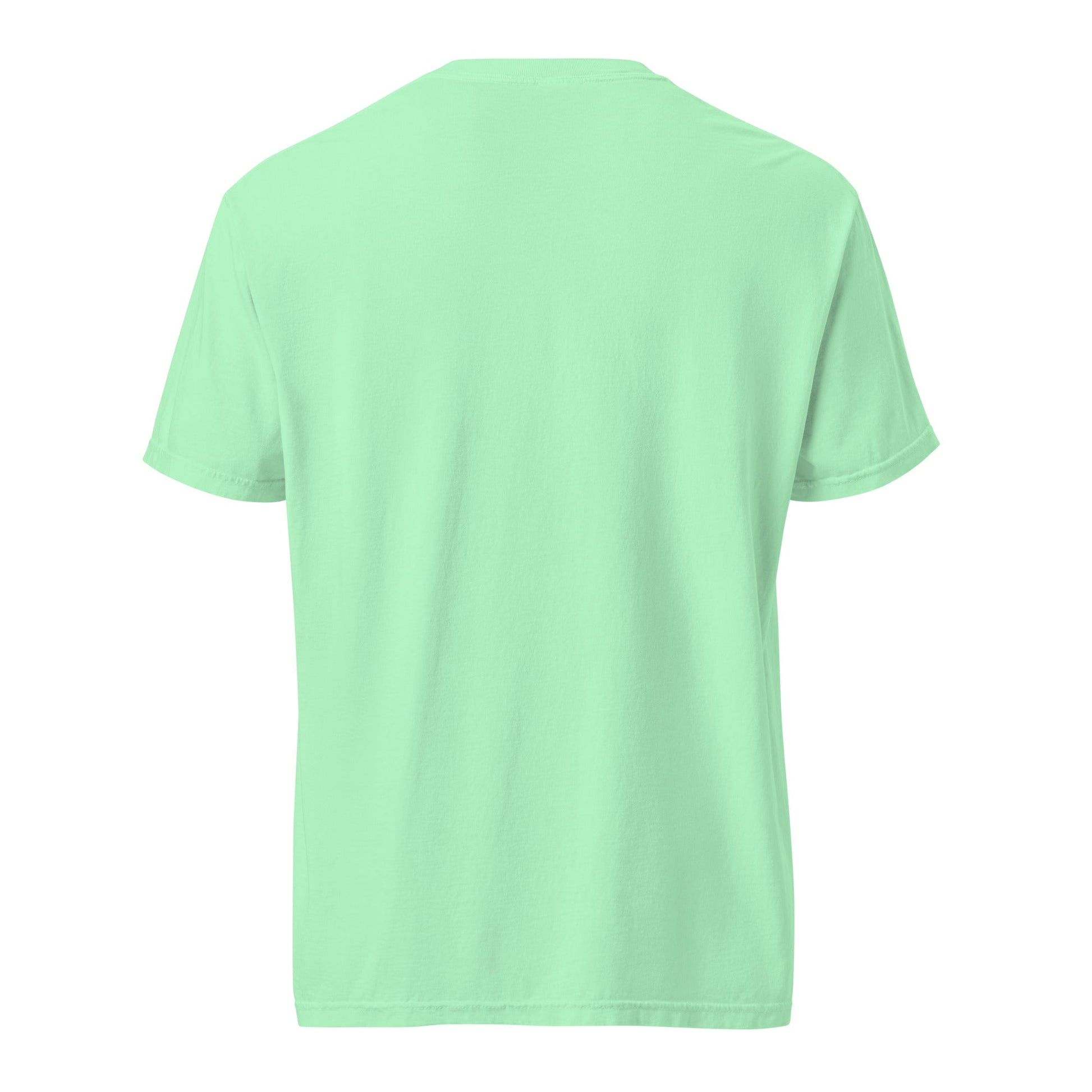 Heavyweight tee in mint green, short sleeves and crew neck, back view.