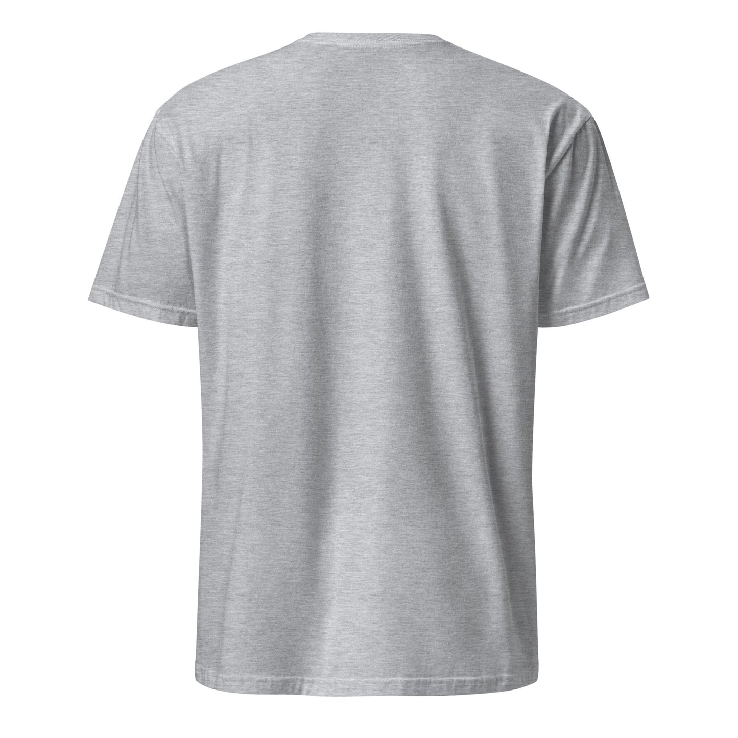 North Pyramids graphic tee, heather grey, plain back view