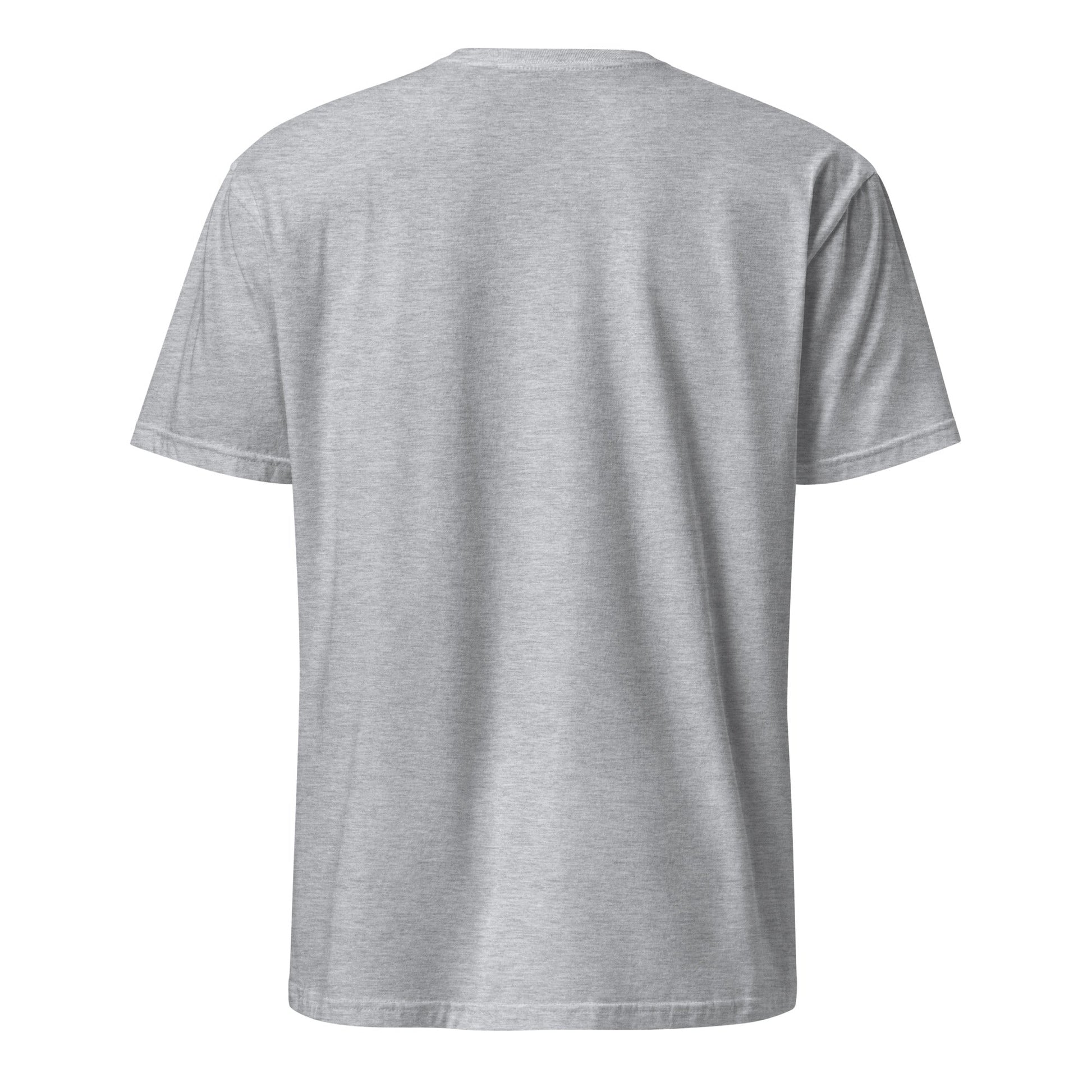 North Pyramids graphic tee, heather grey, plain back view