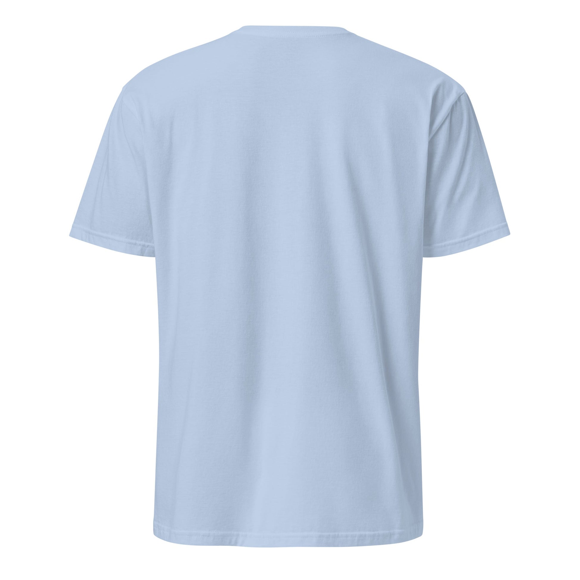Light blue graphic tee, back view