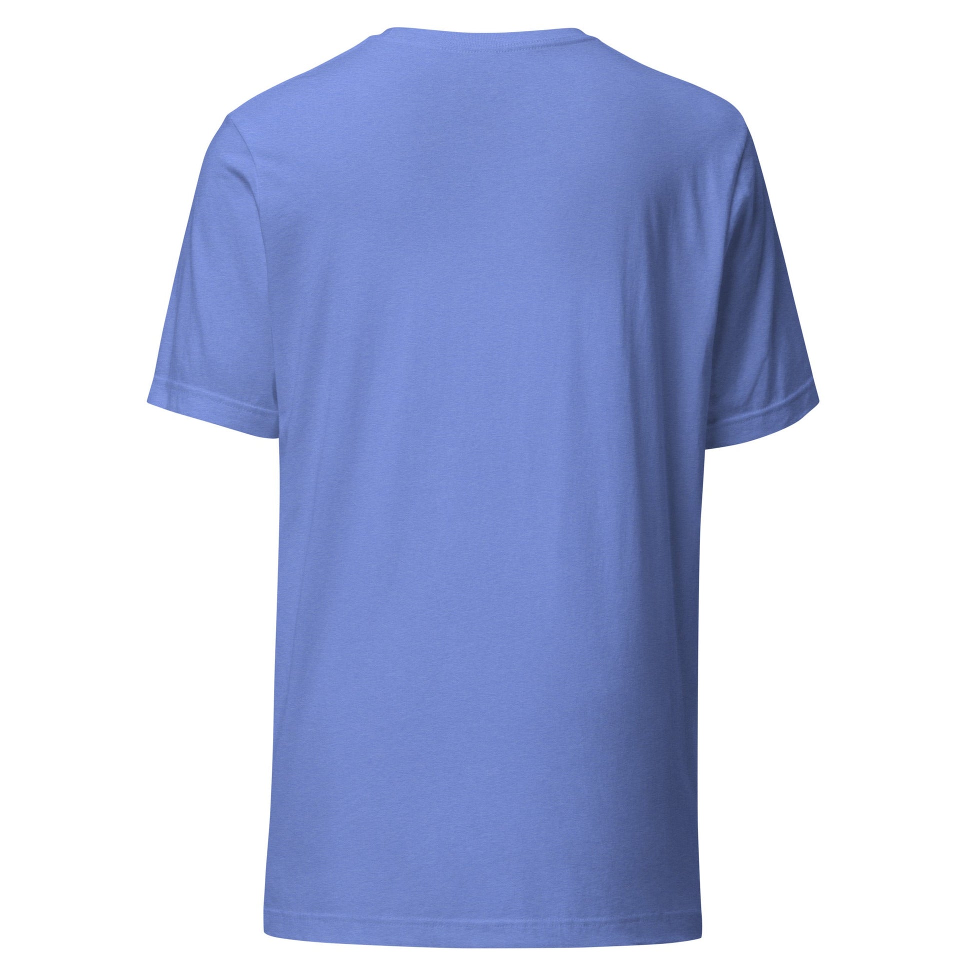 Light blue short-sleeve crewneck graphic tee, back view